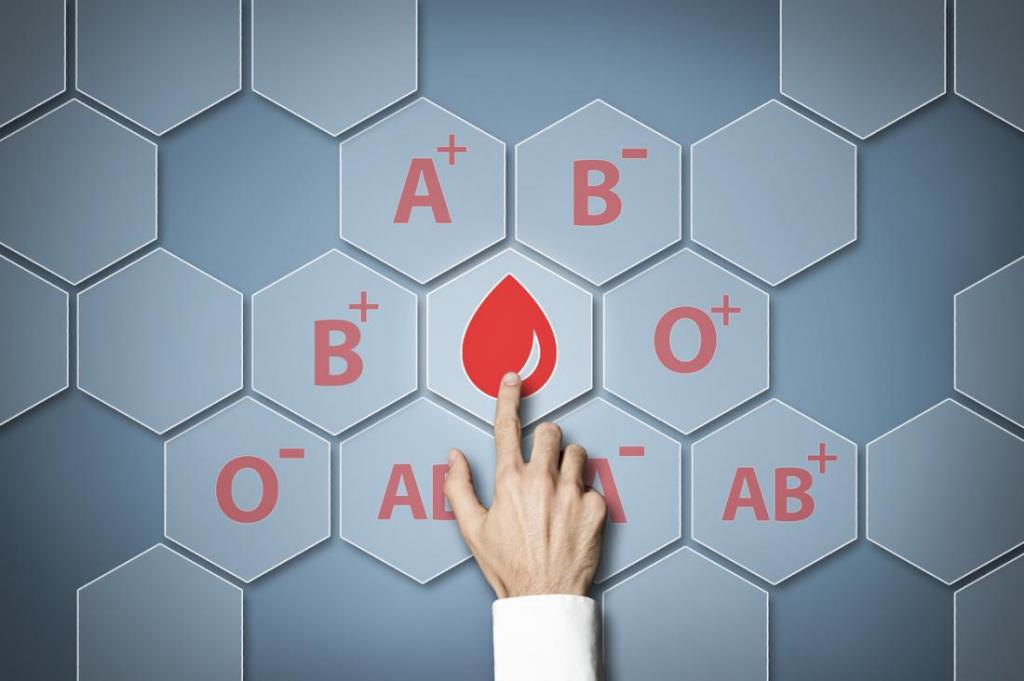 Как группа крови может повлиять на здоровье и физическую форму