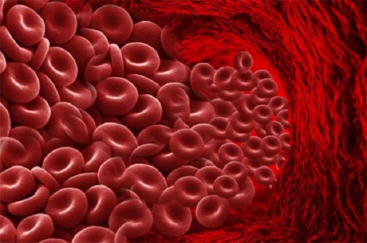 Как группа крови может повлиять на здоровье и физическую форму