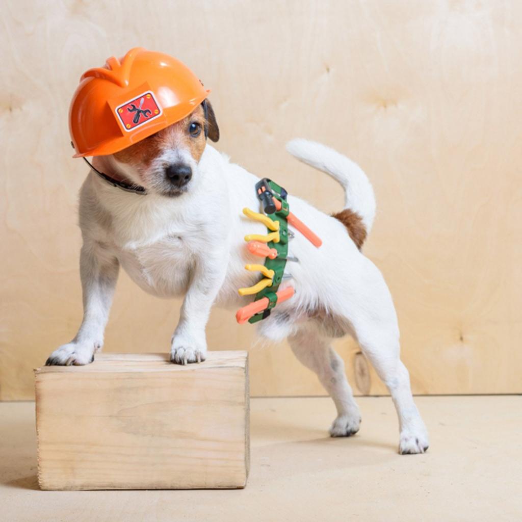 "Собачья работа": фото собак, одетых как люди