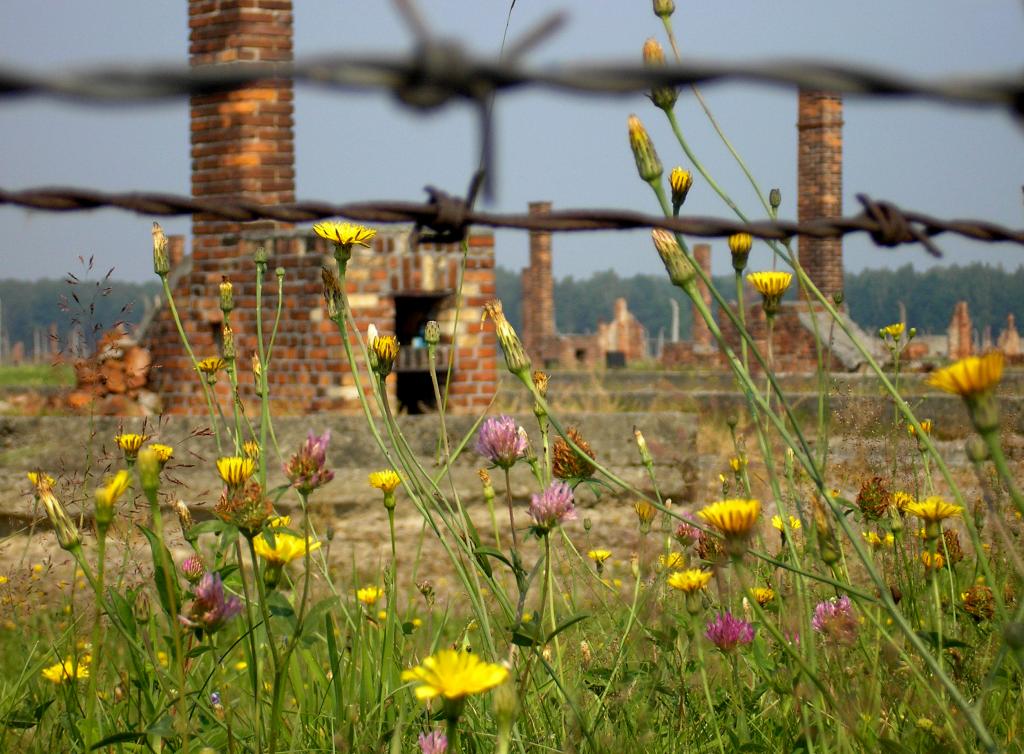 Холокост: что случилось с узниками концлагеря после освобождения?
