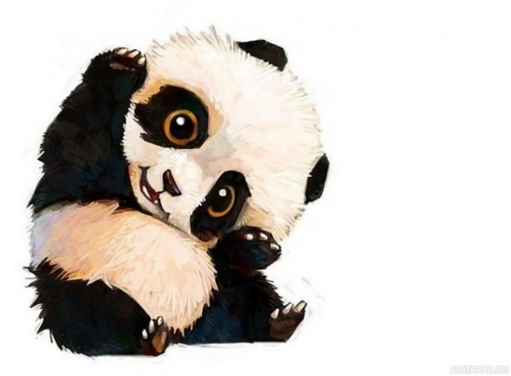 Тест "Найдите панду среди милых песиков": для развития внимания и хорошего настроения