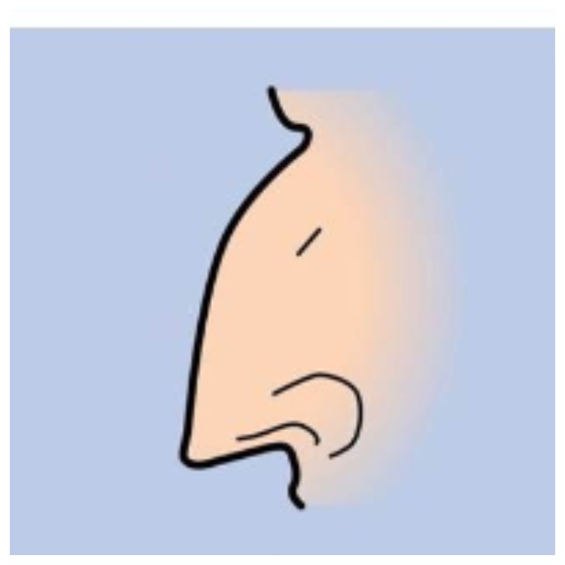 Форма носа человека раскроет некоторые детали его личности