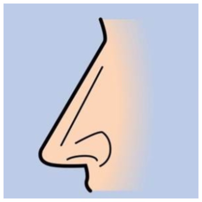 Форма носа человека раскроет некоторые детали его личности