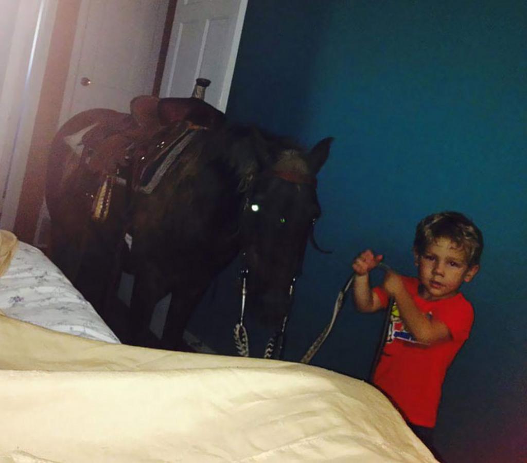 Как весело быть родителями: и лошадь разбудит утром, и зубная паста втерта в лицо, и ноутбук раскрашен фломастерами (жизненные фото)