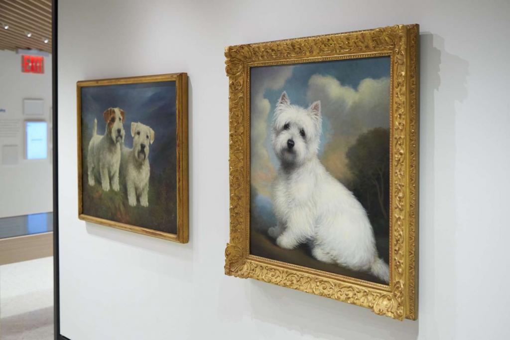 Музей собак открылся в Нью-Йорке. Посмотрим одним глазком, что он из себя представляет