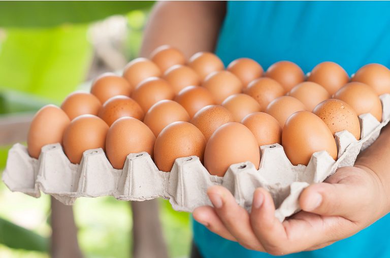 Мнение врачей: яйца очень полезны для сердечников