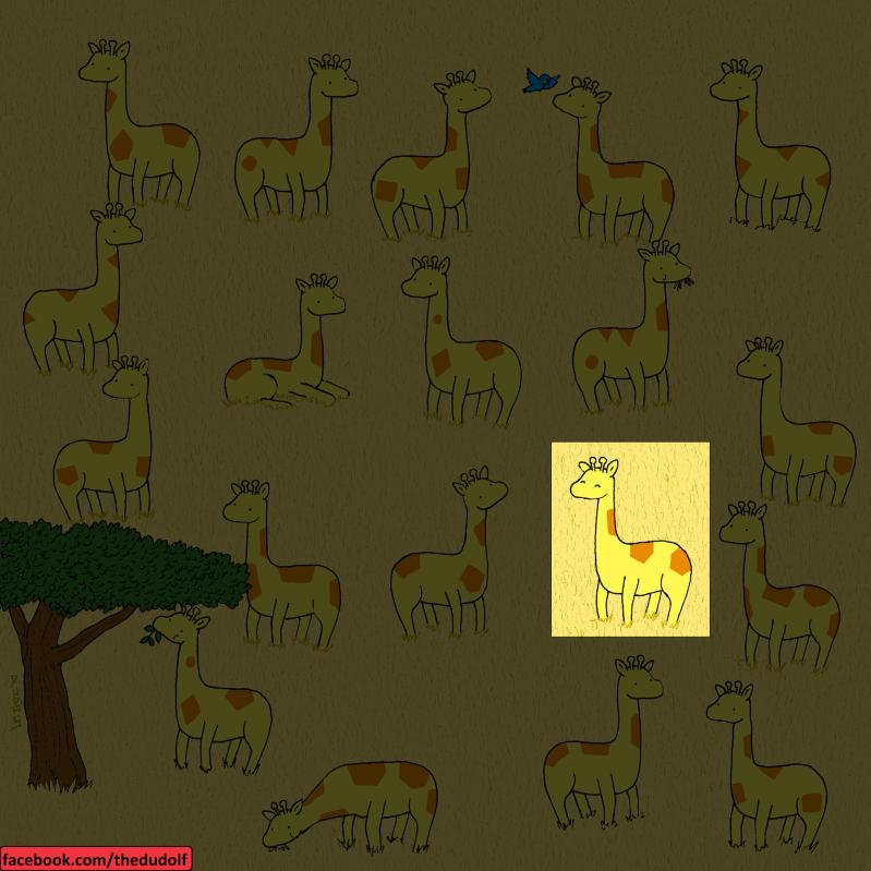 У одного из жирафов на фото нет близнеца. Только внимательный пройдет тест