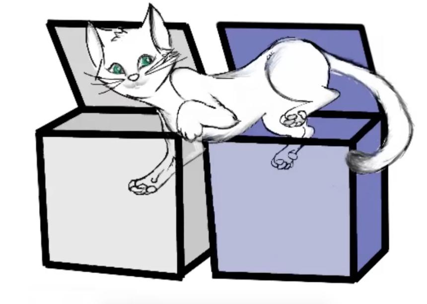 Физики создали летающую армию лазерных шредингеровских кошек