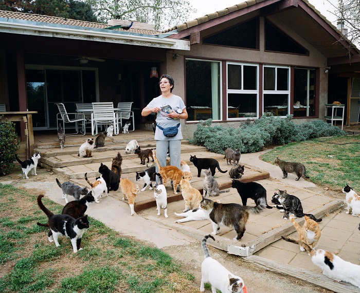 Сильная и независимая женщина: американка после развода с мужем живет с тысячей кошек. Фото