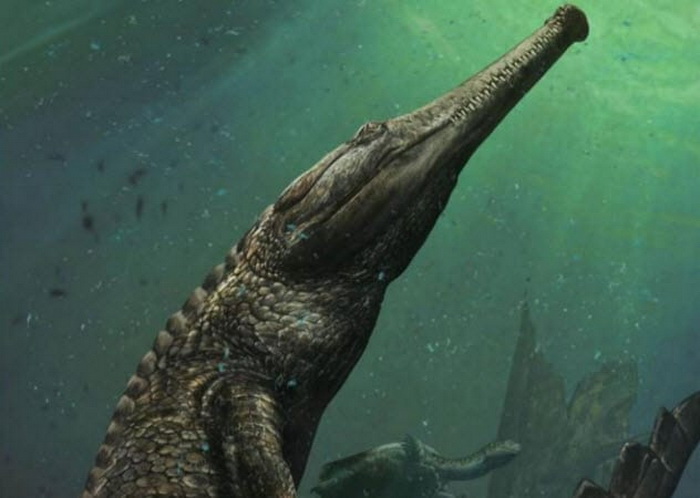 Лягушка, поедающая динозавров, и еще 8 малоизвестных древних монстров