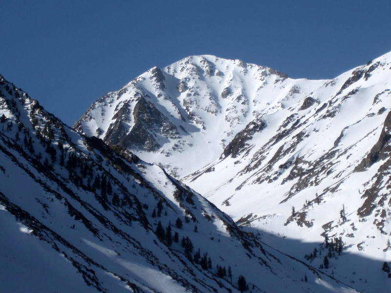 Сердечный приступ на пике горы: история выживания лихого лыжника в Калифорнии