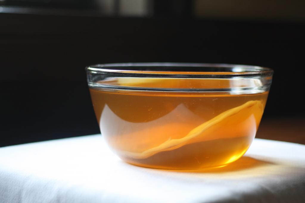 Знаменитый чайный гриб: 10 преимуществ для вашего здоровья
