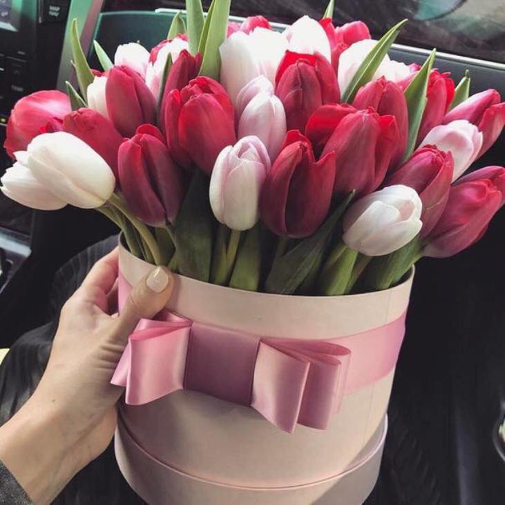 Главные причины подарить тюльпаны на День Святого Валентина (с фото)