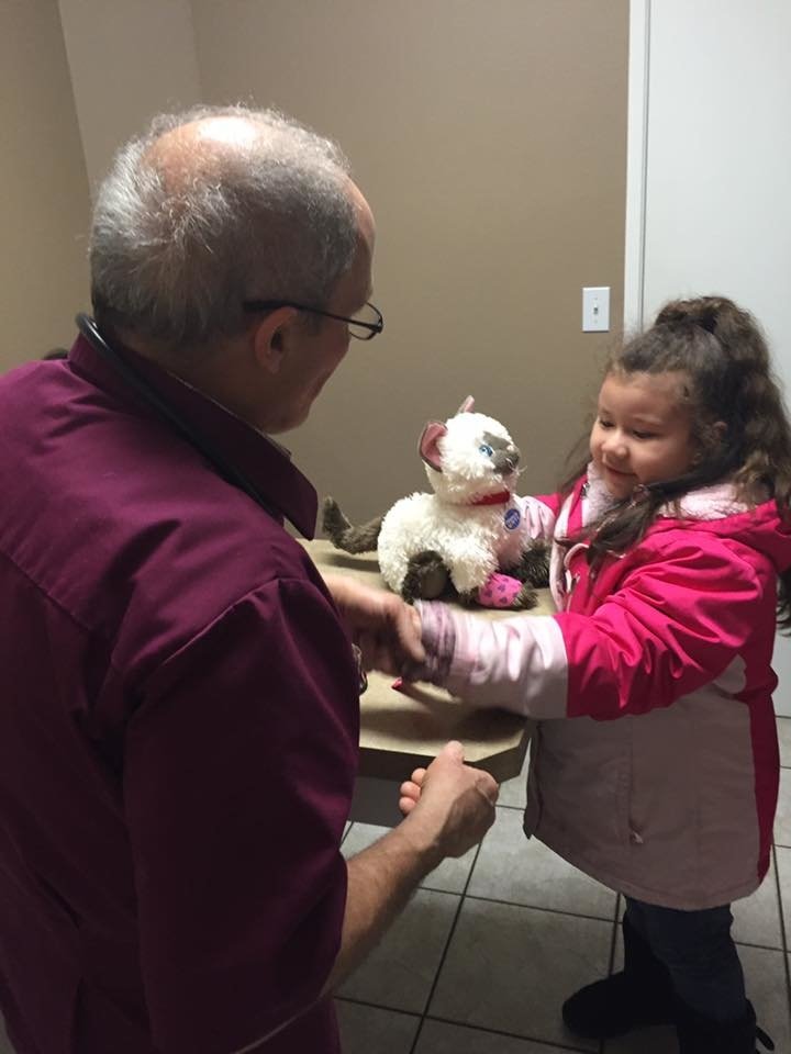 Доброта без границ: девочке помогли вылечить любимую кошку-игрушку в ветеринарной клинике