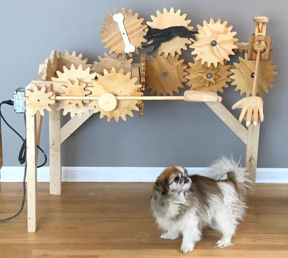 Машинка для ласки: плотник сделал устройство для автоматического поглаживания собак (видео)