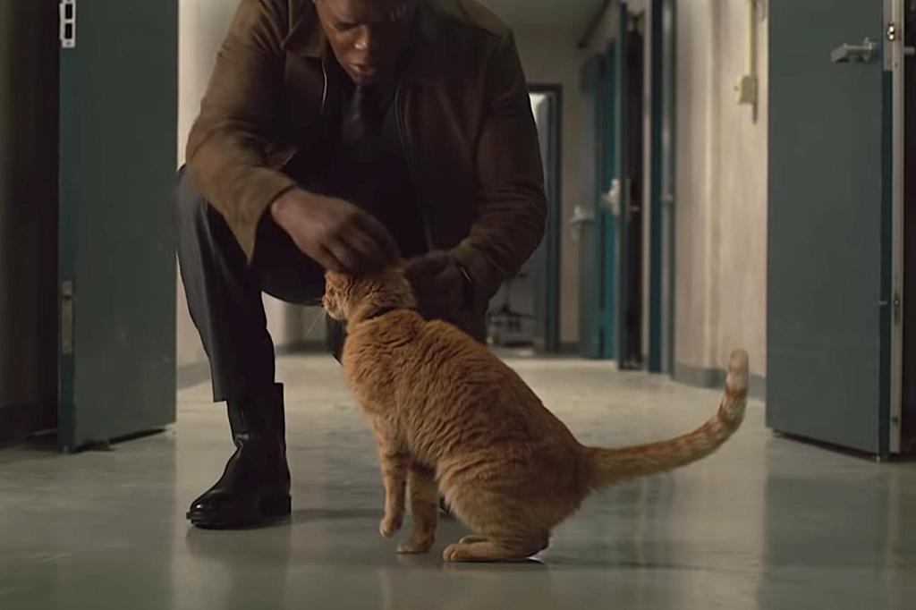 Суперзвезда в мехах, и это не Бри Ларсон: в фильме "Капитан Марвел" появится еще один главный персонаж - обычная пушистая кошка