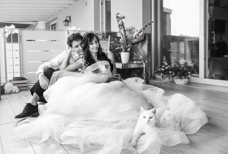 Тоже члены семьи: фотограф предлагает молодоженам взять на свадебную фотосессию своих котов (фото)