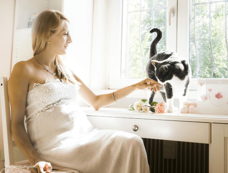 Тоже члены семьи: фотограф предлагает молодоженам взять на свадебную фотосессию своих котов (фото)