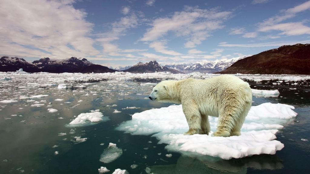 Таяние арктических льдов приведет к серьезным последствиям во всем мире