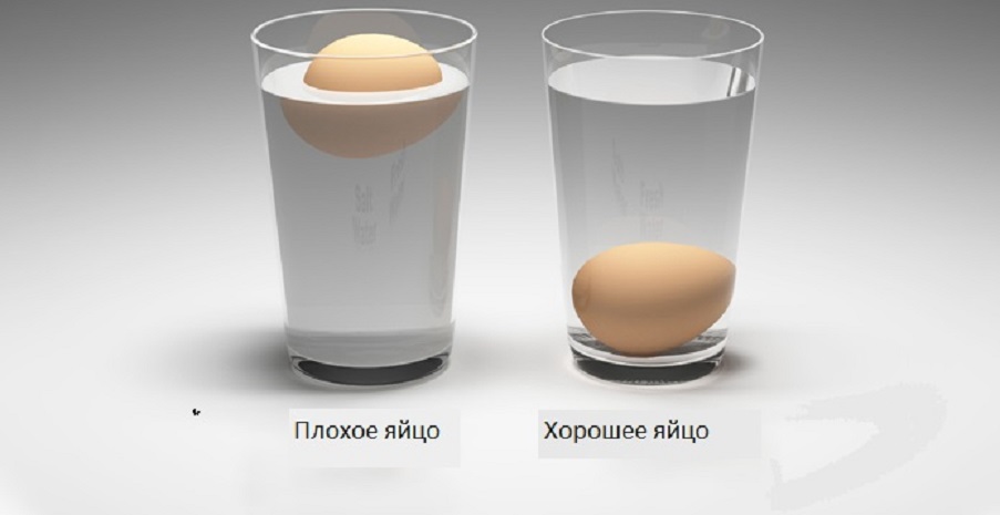 7 простых способов узнать, свежее яйцо или тухлое