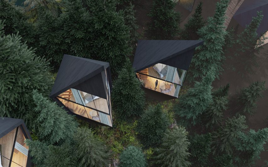 Отель Tree House в лесу: необычное место для единения с природой