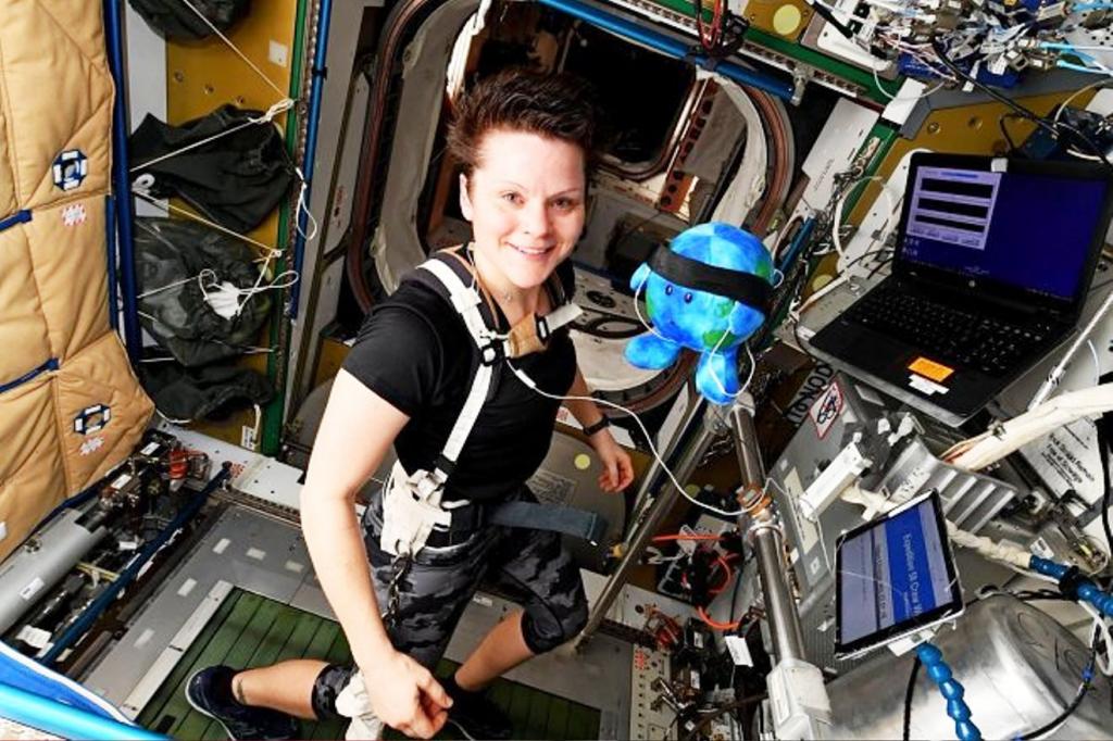 Астронавты на МКС похитили плюшевую "Землю" и теперь она полноправный член команды
