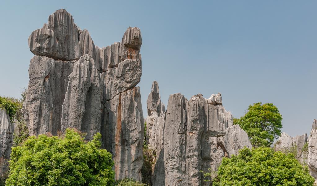 Сюрреалистический каменный лес: уникальное творение природы
