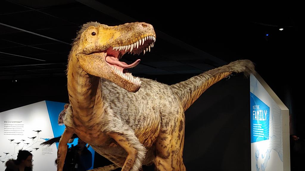 Как на самом деле выглядели динозавры: последние открытия