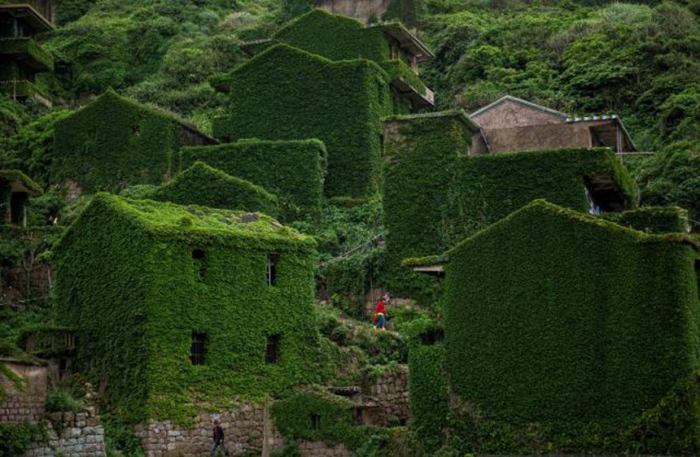 Призрачная деревня в Китае, покрытая растениями (фото)