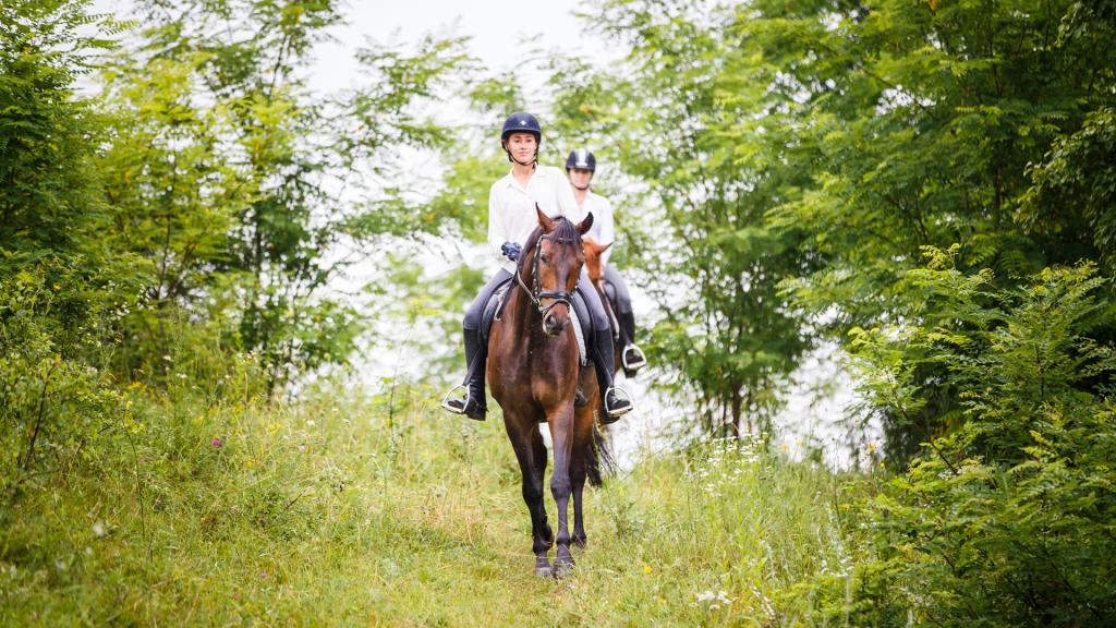 Ход конем, или Как верховая езда помогает снять стресс
