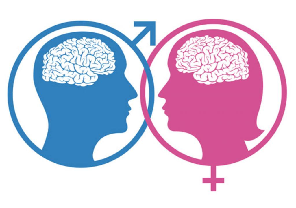 Чем отличается мозг мужчин и женщин: последние исследования