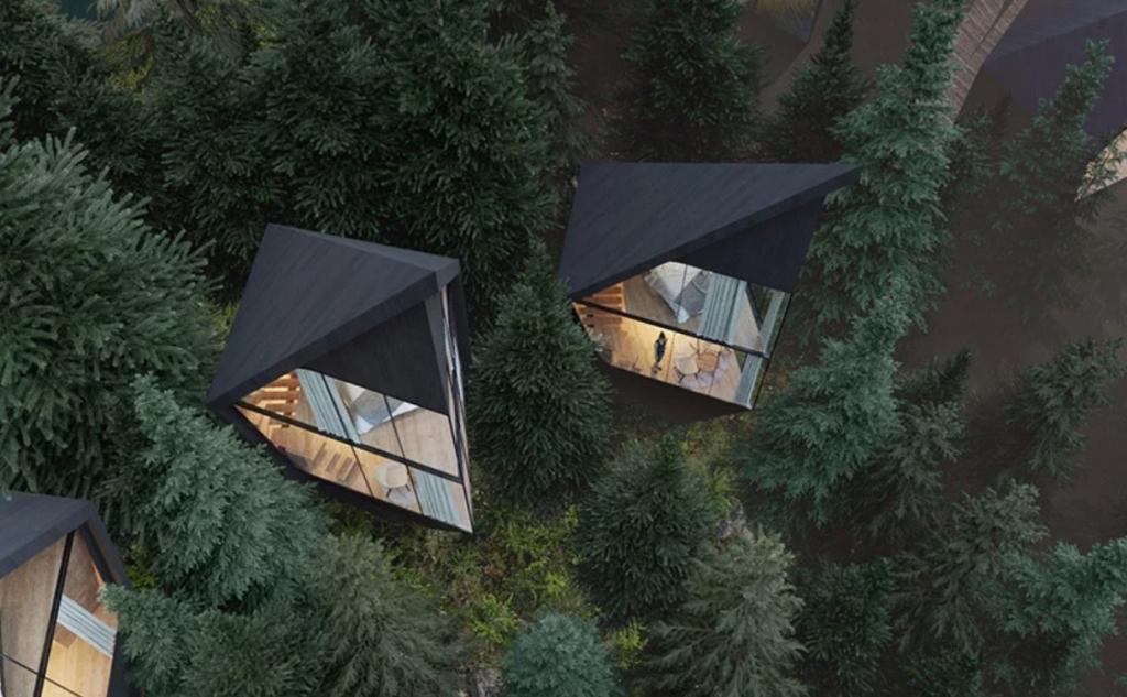 Отель в единении с природой: оригинальные номера в домиках, висящих на деревьях