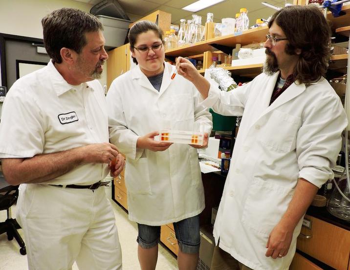 Наука на страже здоровья: фармацевты работают над новым противовоспалительным препаратом из косточек авокадо