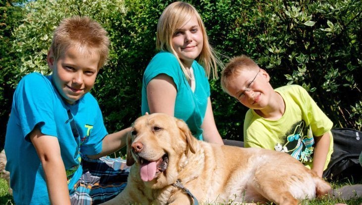 Семья потеряла любимую собаку, но спустя год пропажа неожиданно нашлась