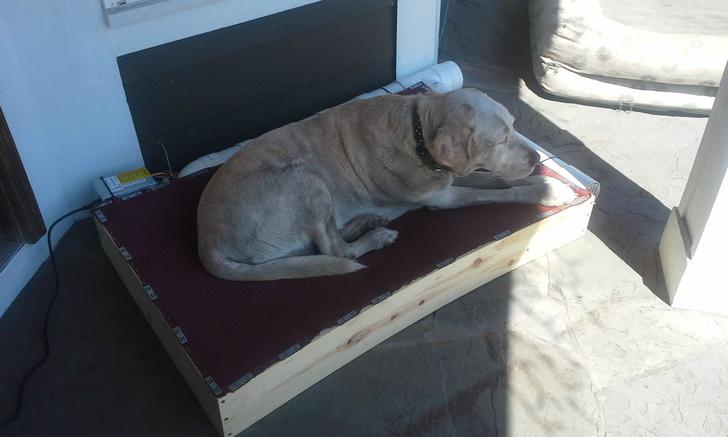 Мужчина сконструировал для своей собаки кровать с кондиционером, чтобы ей было комфортно в жаркие дни