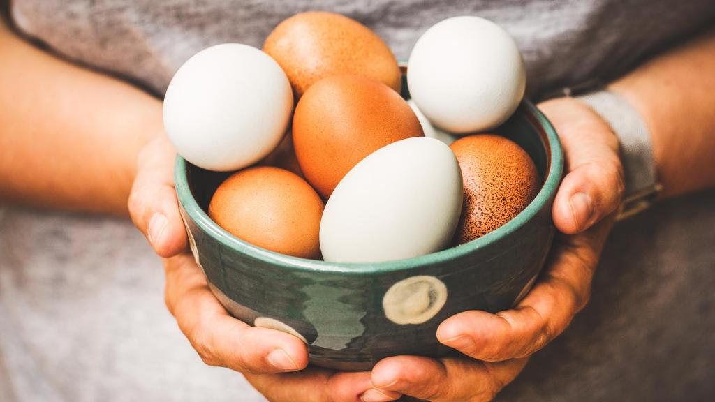 Вредно ли есть яйца? Результаты исследования привели к противостоянию ученых