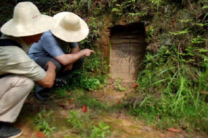 Фермер нашел потайную комнату в погребе, в которой хранились сокровища XII века