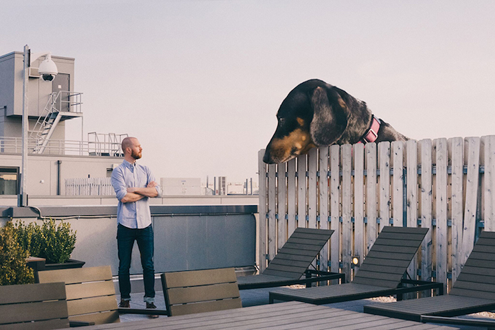 Мужчина создает забавные фото собачки, делая ее гигантской при помощи фотошопа