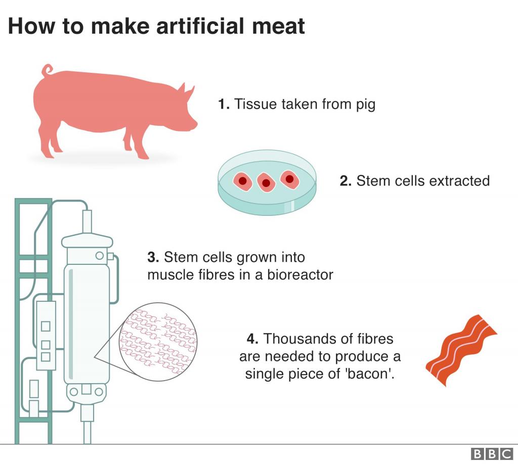 Кто первым начнет выращивать мясо в лаборатории: британские ученые присоединились к гонке