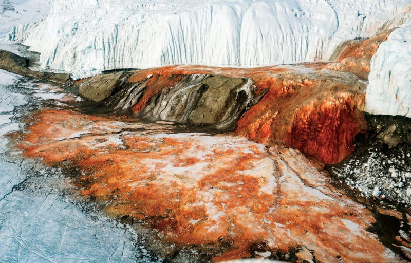 Кровавый водопад Антарктиды: ученые объяснили этот необычный феномен. Все дело в железе