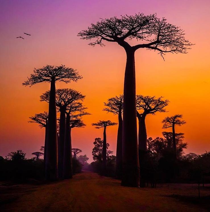 От Италии до Мадагаскара: самые фотогеничные уголки мира для «Инстаграм»-блогеров