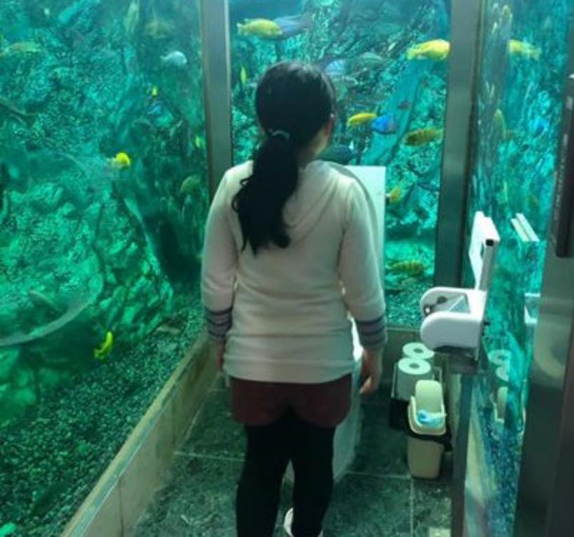Подглядывать запрещено: в японском кафе придумали развлечение для посетителей - туалет-аквариум