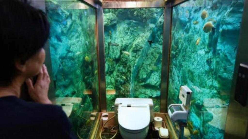 Подглядывать запрещено: в японском кафе придумали развлечение для посетителей - туалет-аквариум