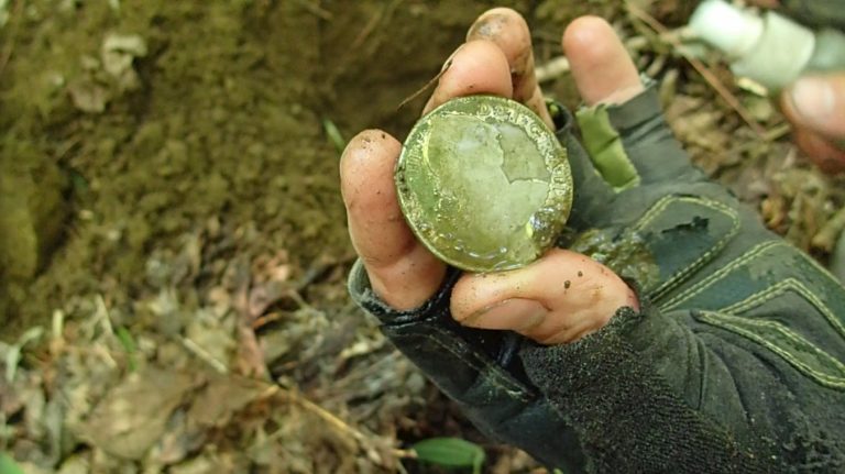 Новичкам везет: археологи-любители нашли клад при помощи металоискателя и большой удачи