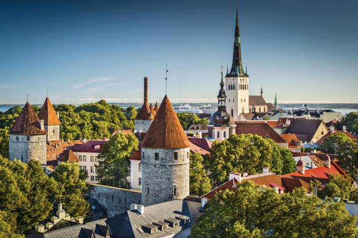 таллинн скайп поехать провести развлечения путешествия поездка эстония нордический экскурсии гулять старый город кафе и рестораны