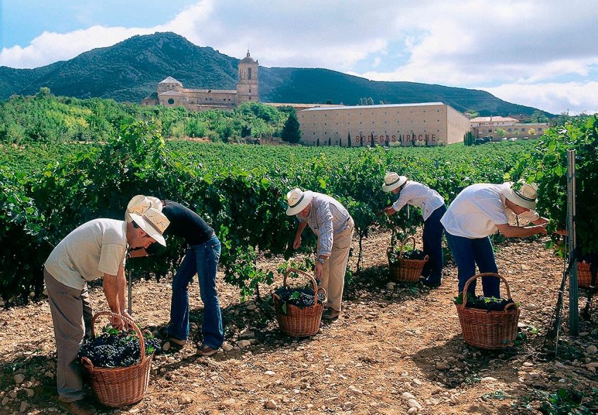 Винные фонтаны Италии и Испании, где вино льется для всех и совершенно бесплатно