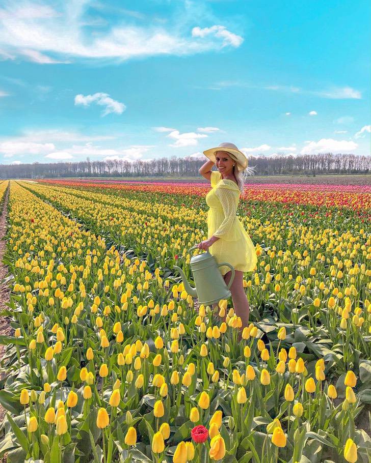 Визитная карточка Нидерландов под угрозой: любители селфи уничтожают поля тюльпанов