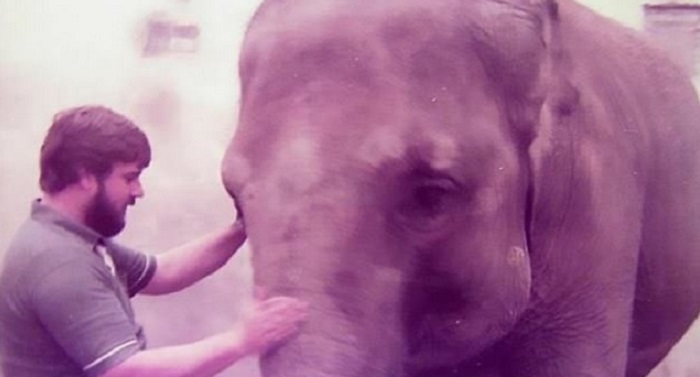 Встреча старых друзей: слон и смотритель зоопарка воссоединились после 35-летней разлуки