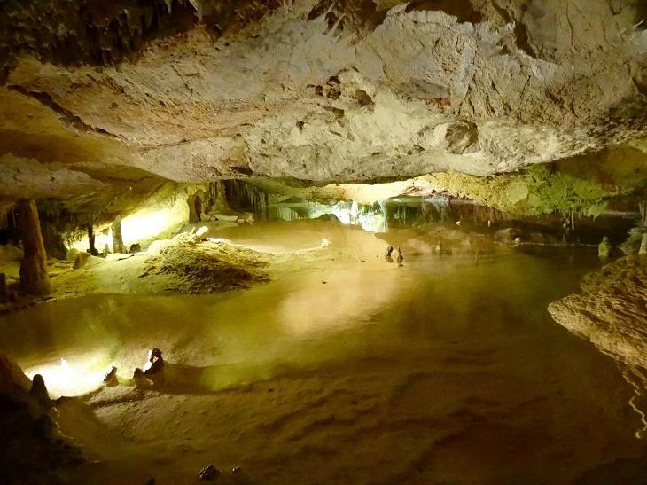 Пещера Кан-Марка, яркое шоу в дельфинарии, Старый город Ибицы: чем разнообразить свой досуг при посещении Балеарских островов (Испания)