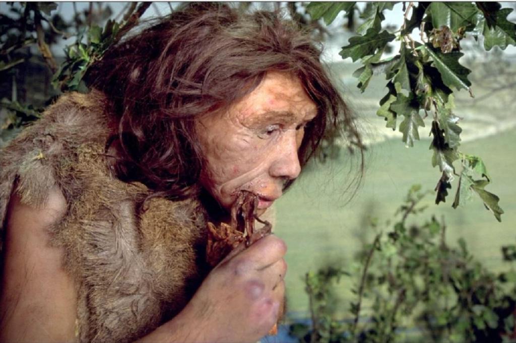 Правда о неандертальцах - удивительные факты из истории происхождения человека